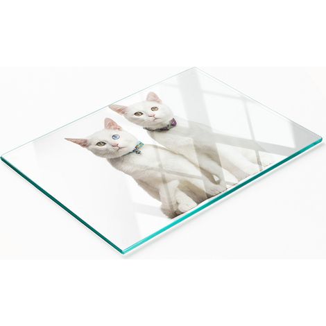 Tablero decorativo multifuncional de vidrio templado con gatos blancos, 80x52 cm. (1/5)