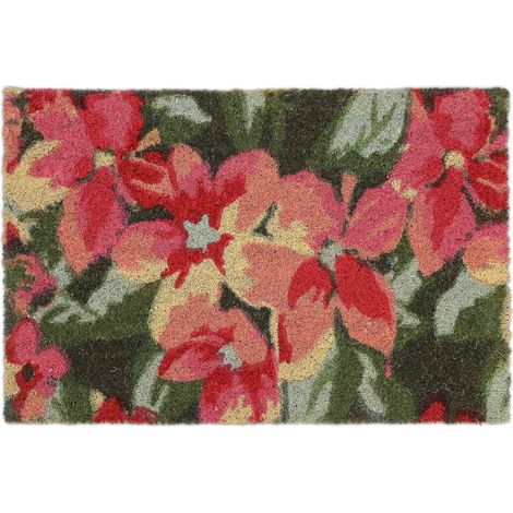 Paillasson Coco, Tapis de Porte Motif de Fleurs, 40 x 60 cm, résistant aux intempéries, antidérapant, coloré (1/5)