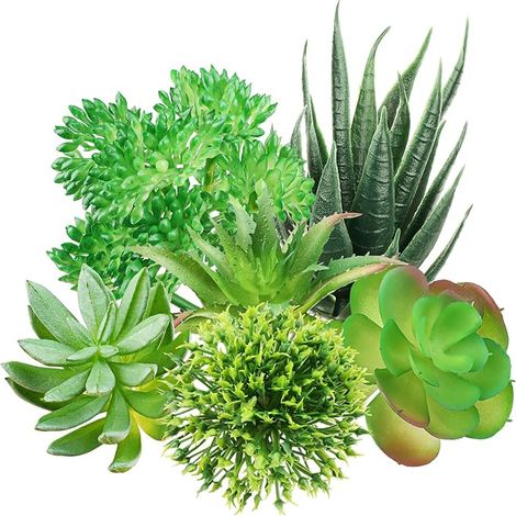plantes succulentes artificielles vertes pour décoration de bureau salon jardin (1/5)