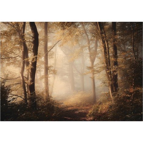 Papier peint mural forêt arbres nature intissé grand format design intérieur salon chambre pas cher 150x105 cm (1/5)