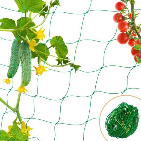 Lntyq Filet à Plantes grimpantes, Filet de Treillis, pour récolte de concombres, Légume, Vignes, Plantes Grimpantes (1.8m x 2.7m) (1/5)