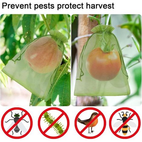 100 pièces - Sachets en organza - 20 x 30 cm - Pochettes à fruits - Sachets de protection - Sachets en filet - Avec cordon de serrage - Vert - Barrière antiparasitaire - Pour plantes, fleurs fruitière
