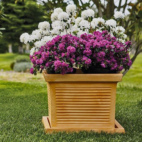 Vaso in Polimero Monacis Quadro Millerighe Terracotta cm 40 (40X40X33h) (1/5)
