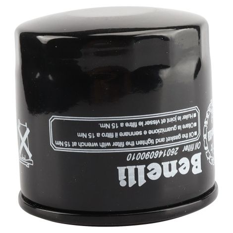 Oil filter element compatible with the Benelli BJ600GS, Huanglong BN600 and Sai 600 motorcycles. (1/5)