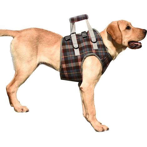 Harnais de levage pour chien professionnel, réglable et respirant, avec sangle d'assistance pour chien handicapé ou très âgé, à carreaux bleus. (1/5)