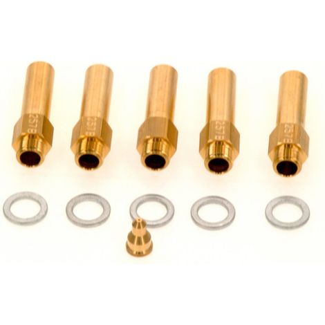 BOSCH Düsensatz (257B), 7715429004 (1/2)