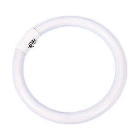 Lampe annulaire tricolore T5 - lumière blanche 22 W - diamètre extérieur 18 cm (22 W) (1/3)
