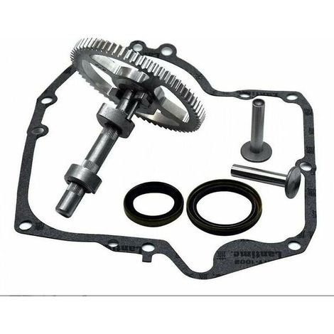 Kit de reemplazo de árbol de levas Briggs & Stratton 793880 793583 792681 791942 795102 con sello de aceite 795387 y juntas de cárter Ruikalucky 697110 (1/4)