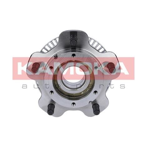Kit rodamientos rueda 5500050 kamoka (1/4)