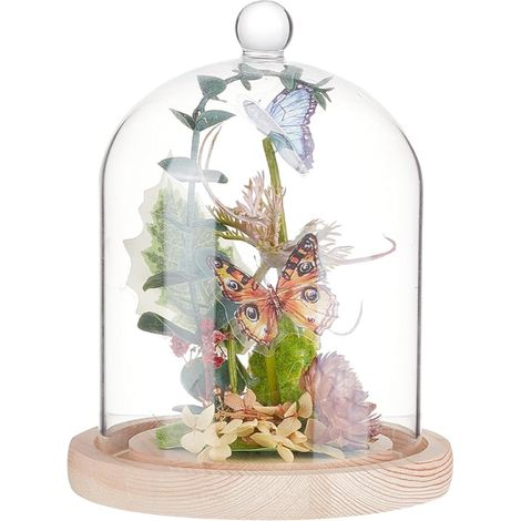 Cloche Dôme en Verre de 140x195mm avec Poignée Ronde Cache à Fleurs Éternelles Base Bois pour Spécimens Plantes Décoration DIY (1/5)