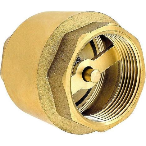 Clapet anti-retour de 2,5 cm (1 pouce) en laiton de haute qualité, robuste, antirouille et étanche, pour pompes, fontaines, machines à laver, jardin, récupérateurs d'eau de pluie et barils. (1/5)