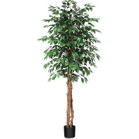 Kunstbaum Ficus 180 cm mit Naturholzstamm für Innen & Außen (1/5)