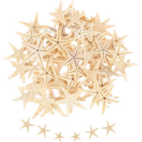 60 Stück natürliche Seesterne, 1-2 cm, Naturfarbe (1/5)