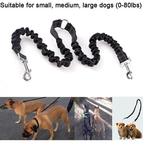 Ceinture de sécurité et laisse à double laisse pour chiens ou animaux- Noir-Fei Yu (1/5)