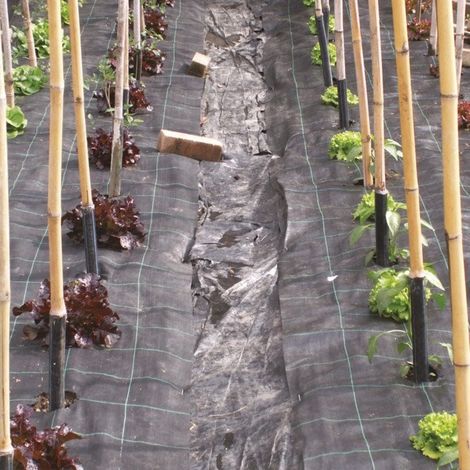 TELO PER PACCIAMATURA H. cm 157 x 100 mt - verde (1/4)