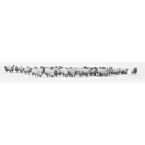 Tableau animaux noir et blanc pour chambre | Tableau sur toile hiver neige et troupeau de moutons | Tableau nature style rustique - 1,0 x 0,4 m (1/2)