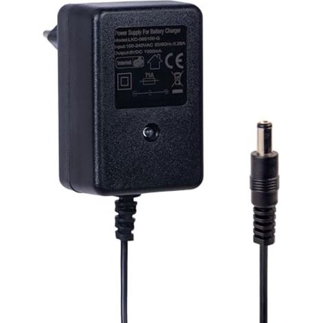Caricabatterie da 6V per giocattoli elettrici cavalcabili - Caricabatterie per bambini (1/5)
