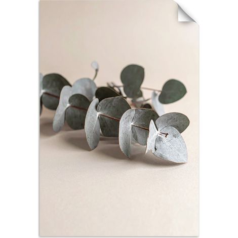 Poster autocollant Feuilles plantes nature beige 40x60 (1/3)