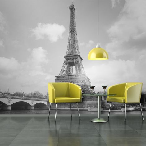 Fotomurale - Senna e Torre Eiffel - 300x231 (1/4)