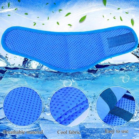 Lot de 2 bandanas rafraîchissants pour chien - collier rafraîchissant instantanéécharpe rafraîchissante ajustable (1/5)