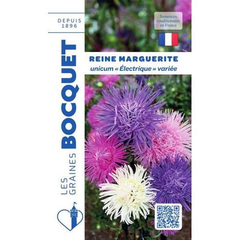 Reine Marguerite Unicum - Electrique variée - 0,8g