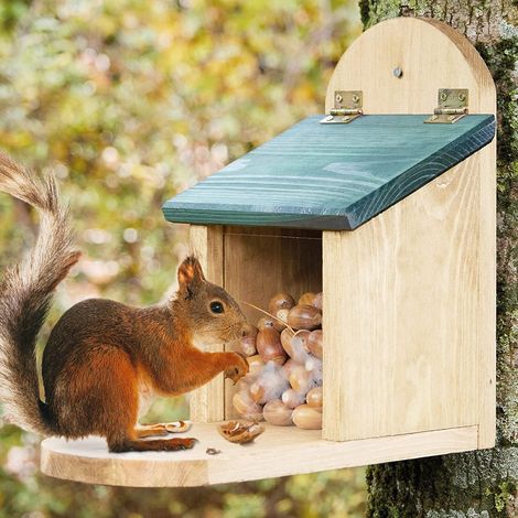 Mangeoire Écureuil Distributeur de nourriture éxtérieur robuste en bois massif et vitre plexiglas de haute qualité"328 Écu" (1/5)