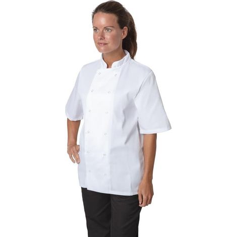 Veste de Cuisine Boston Manches Courtes Blanche - Whites Chefs Clothing (1/5)