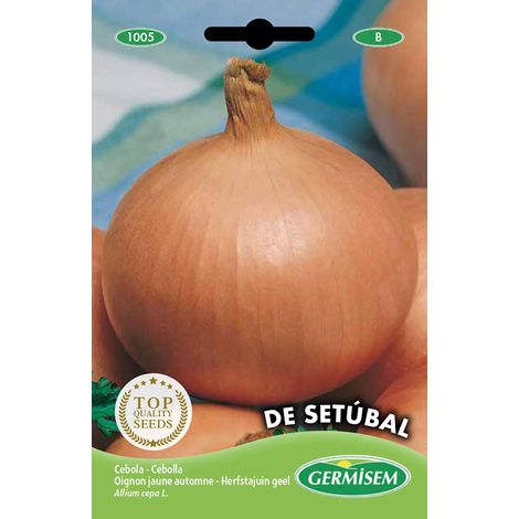 graines Oignon jaune automne SETÚBAL (1/2)