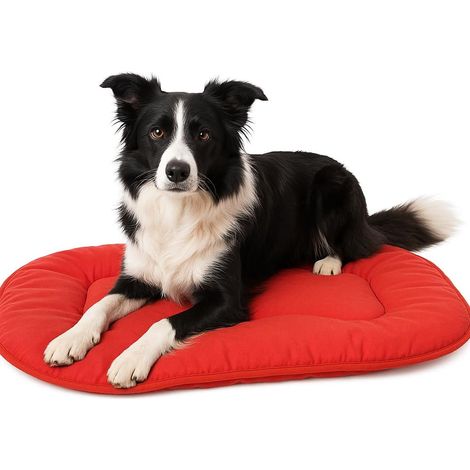 1 - Coussin Chien - Coussin Chat - Tissu Respirant Rembourrage Souple - Intérieur Extérieur - Rouge - 71x51x3cm (1/4)