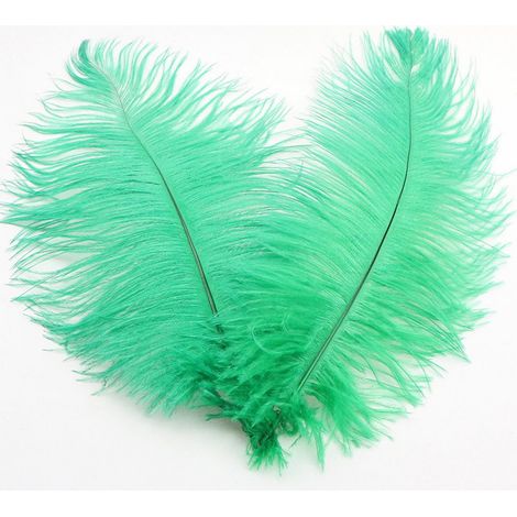 Plumes D Autruche - 32 cm - Décoration Mariage Centre De Table Déco Maison Arrangement Floral DIY Noël - 1 Pièce - Vert Herbe (1/5)