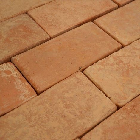 Tomette rectangulaire en Terre Cuite 22,5x10x2,3 cm (1/4)