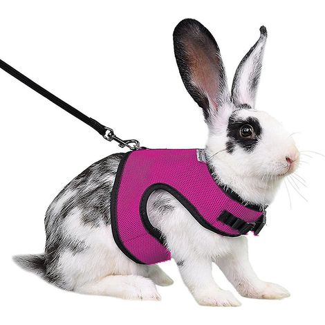 Harnais pour lapin, furet, rat et hamster, confortable et réglable, avec laisse et harnais en maille douce - Rose L rouge (1/3)