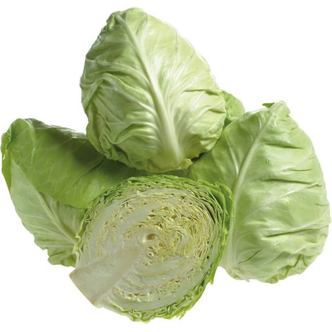 Semi di Cavolo Cappuccio Cuor di bue grosso piante per orto e giardino