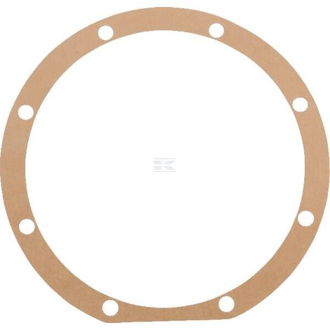 Junta 0,3 mm Maschio MASCHIO M13100208R