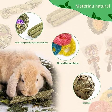 Chew Toys for Rabbit, Chinchilla, Guinea Pig, Hamsters, Holland Lop, Small Rodents, Pets (1/4)
