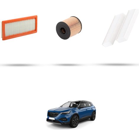 Kit tagliando 3 filtri compatibile con Opel Grandland X(A18) 1.6 Turbo Hybrid 221kw Dal 2019 (1/5)