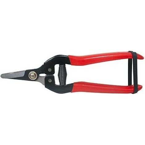 Utilia FORBICI COGLIUVA LAMA DRITTA  cm. 19 Utilia 10 PZ (1/5)