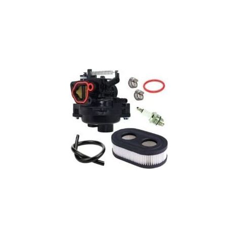 Vergaser für Briggs & Stratton Motoren – Kompatibel mit 09P702-0145-F1, 09P702-0098-F1, 550Ex, 625Ex, 675Ex, 725Exi, 140CC, H734 – Hochleistungs-Ersatzteil (1/5)