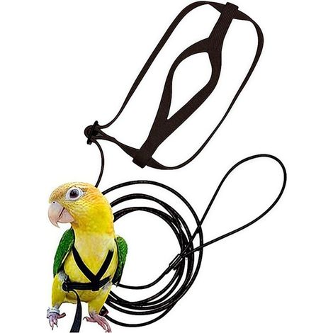 [NEVER USED] Parrot leash