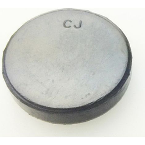 Tapon Caja Cambios compatible con Z750 24X28X6  Ref 974005