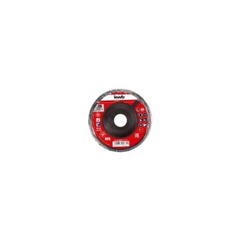 DISCO LAMELLARE IN ZIRCONIO DIAM. 115 MM GRANA 40 CON SUPPORTO IN PLASTICA