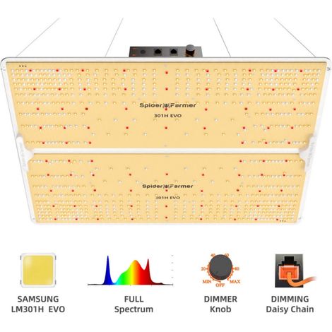 Spider Farmer SF4000 LED élève le spectre complet des plantes d'intérieur Samsung LM301H