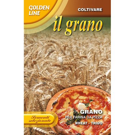 SEMENTI GRANO PER FARINA DA PIZZA 100 GR FRANCHI SEMENTI ORTO