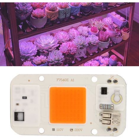Source lumineuse LED 30 W à spectre complet, sans alimentation haute pression (220 V), avec puce intégrée, pour la croissance des plantes. (1/5)
