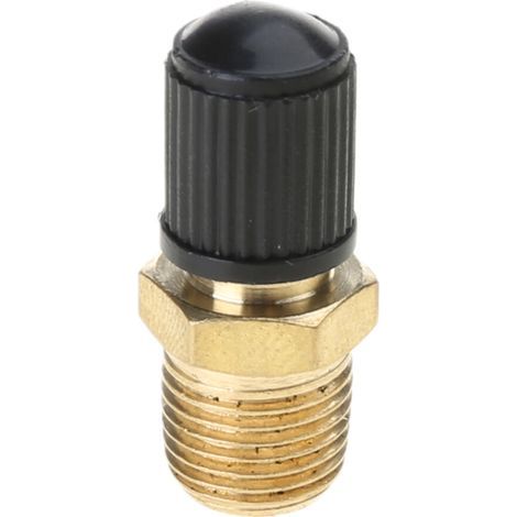 Valve de réservoir male MNPT 1/4 ", avec capuchons de-1/8" (1/2)