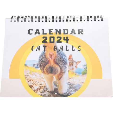 Calendrier de l'Affaire du Chat (12 mois 2024) - Drôle et mignon - Décoration pour chambre ou bureau (1/5)