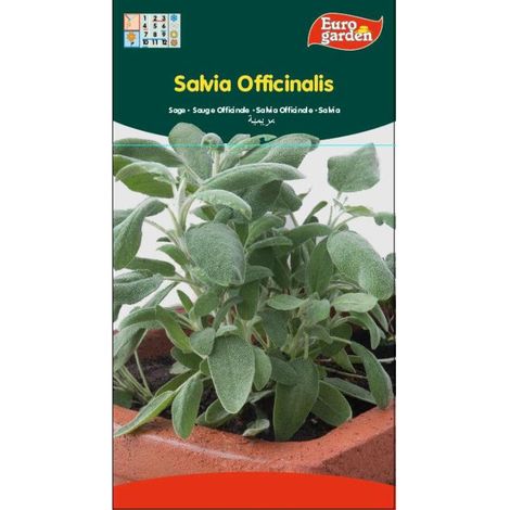 semillas fito aromaticas salvia officinalis 02607 (caja 10 unidades)