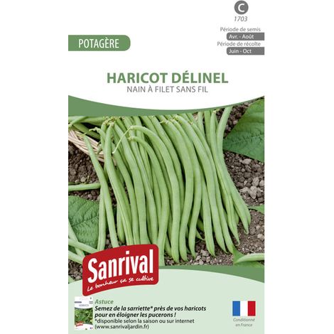 Graines Haricot Delinel