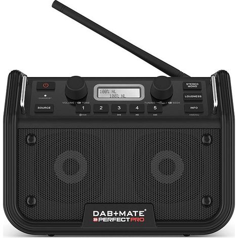 Radio Sitio Dab + Mate