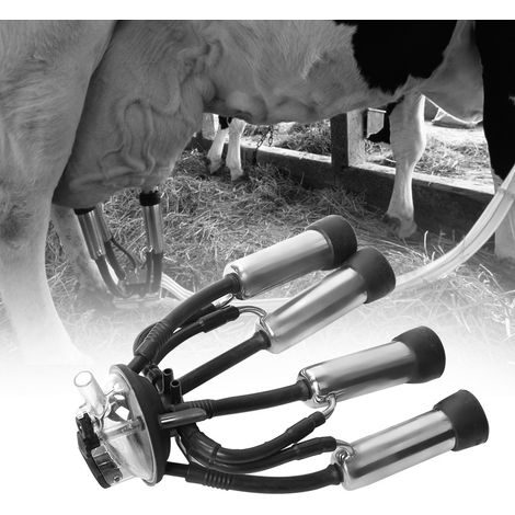 Ensemble de gobelets trayeurs pour machine à traire à pompe à vide de 240 cm³. (1/5)